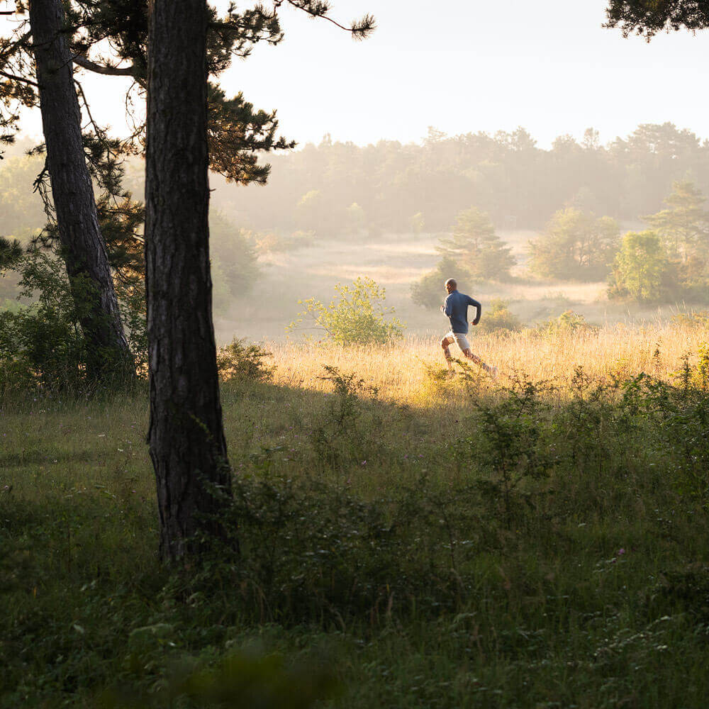 Mann rennt über eine Wiese	 im Vordergrund steht ein Baum	 im Hintergrund sind Hügel