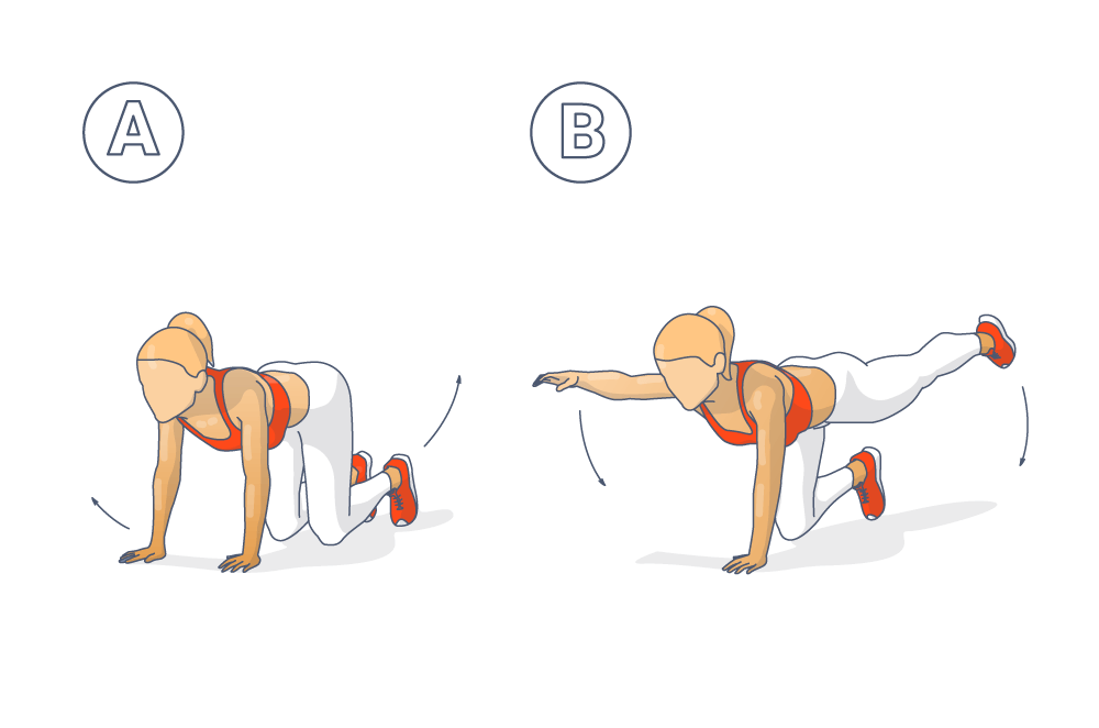 Tabata Übung für den Core: Der Supermann ("Bird Dog") Bildanleitung für den Supermann als Zeichnung