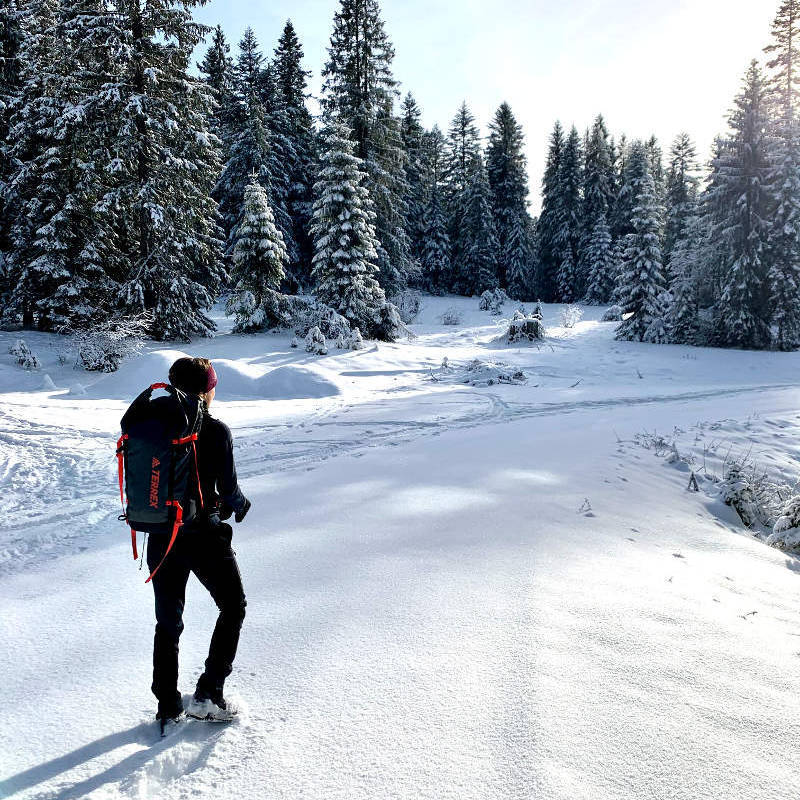 Trekking im Winter Mädchen mit Rucksack schaut in Richtung eines verschneiten Waldes